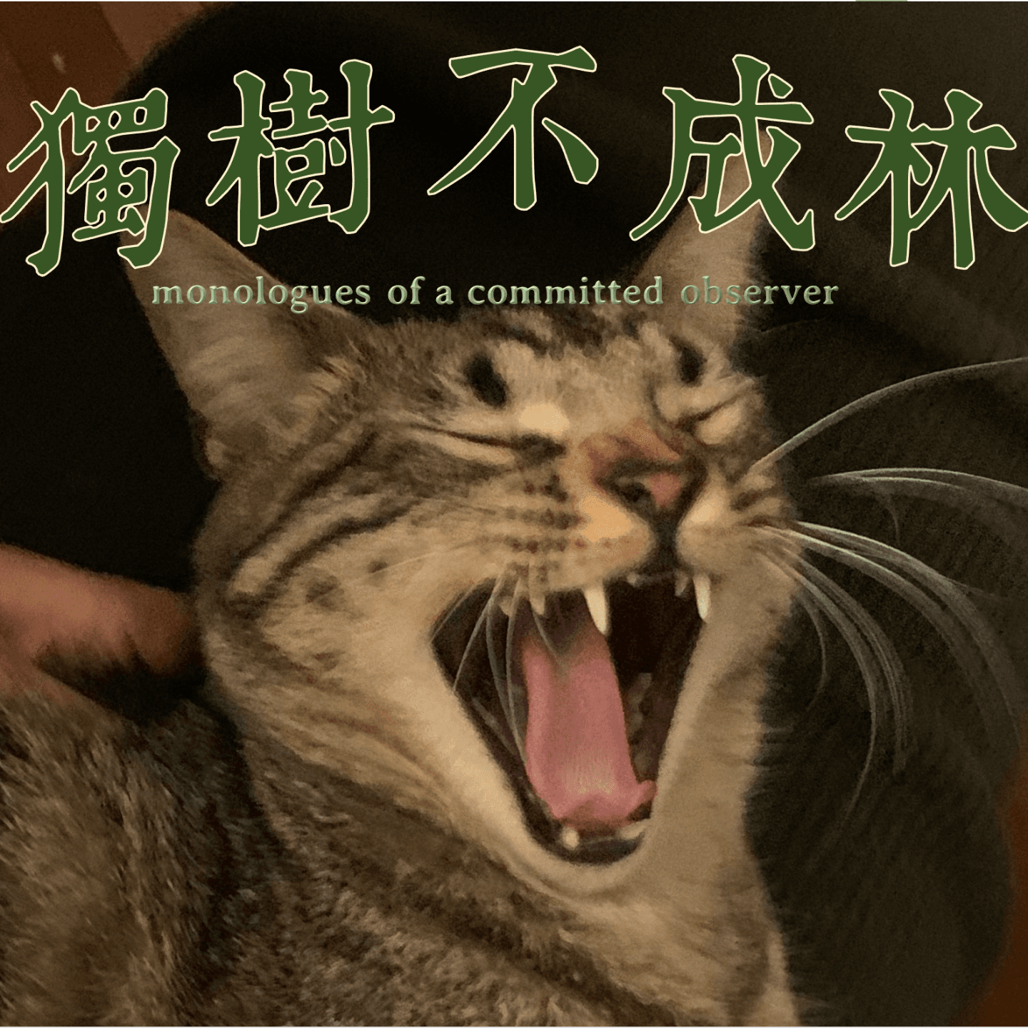独树不成林 cover image