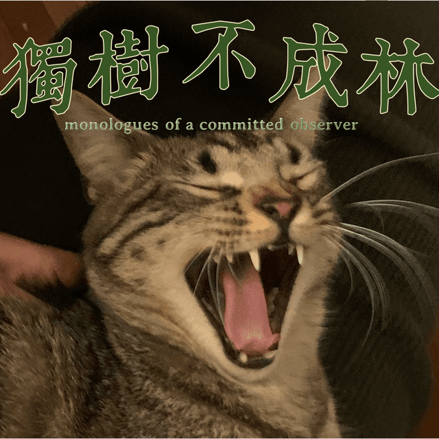 独树不成林 封面