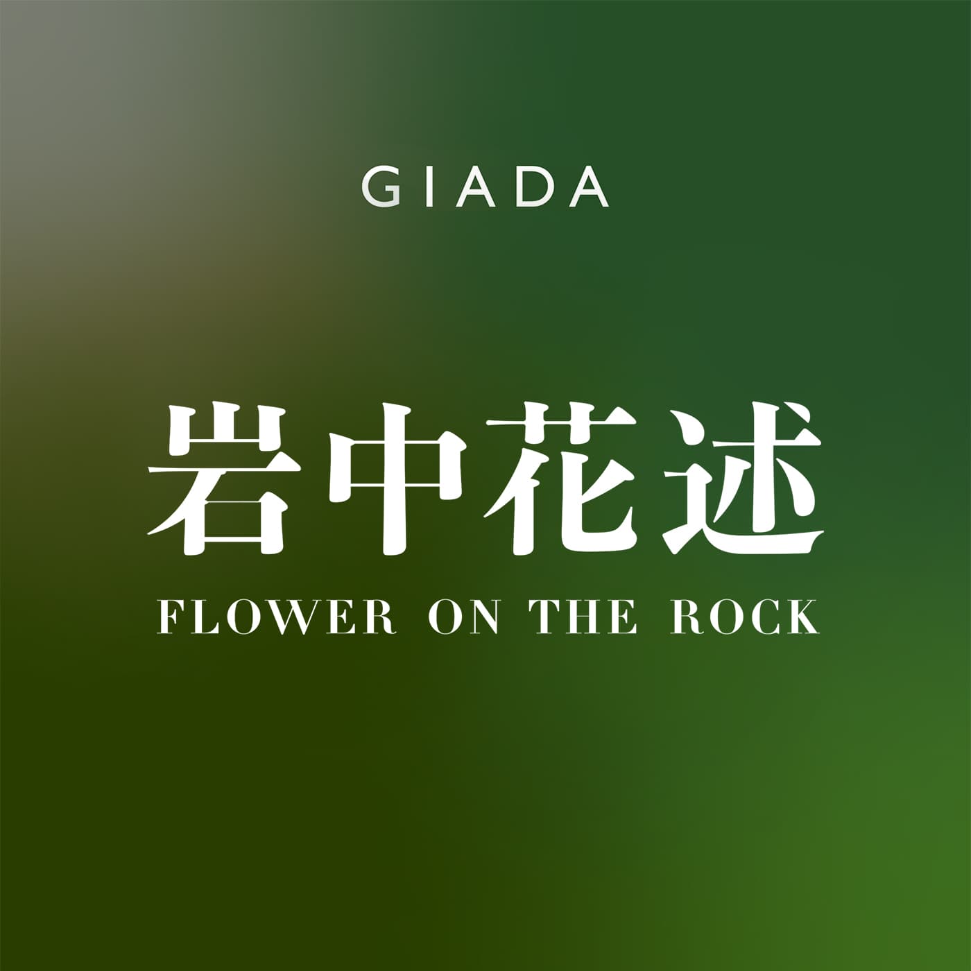 岩中花述 cover image