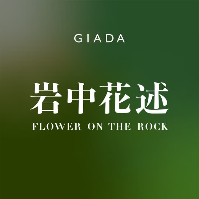 岩中花述 封面